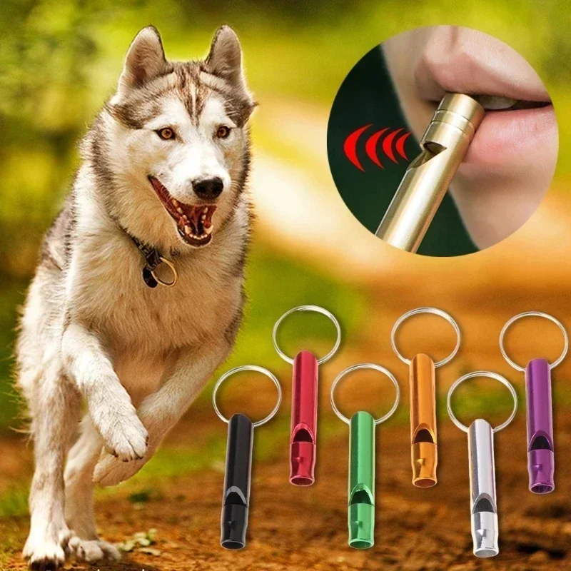 Überlebenspfeife – Erbsenloses – Emergency Whistle Pea Bewertung und Preis